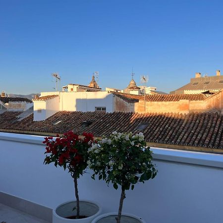 Atarazanas Suite, Atico Con Terraza Malaga Luaran gambar